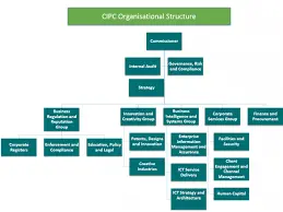 CIPC Director amendments
